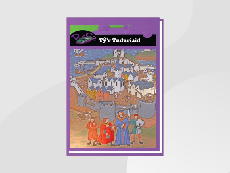 Llun am Tŷ’r Tuduriaid