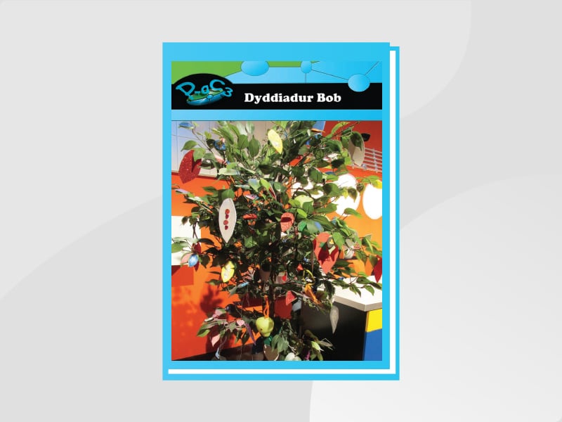 Llun am Dyddiadur Bob