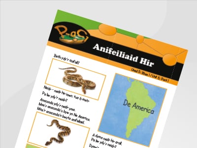 Llun o Anifeiliaid Hir