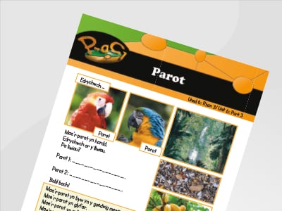 Llun o Parot