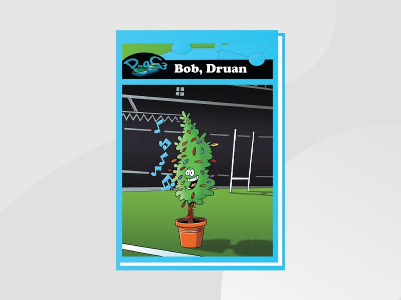 Llun am Bob, Druan